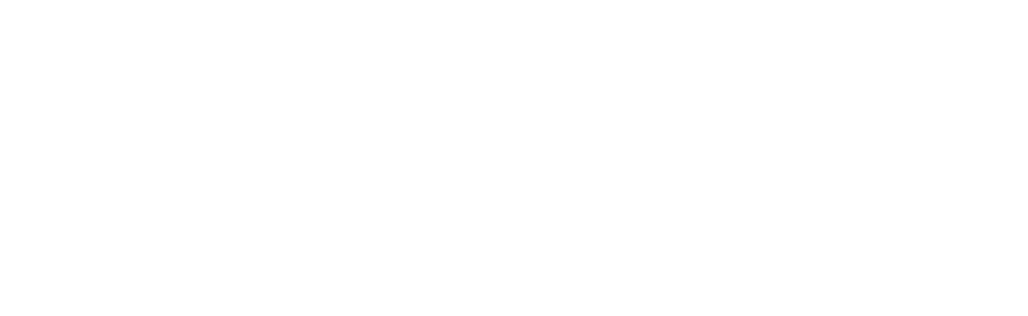 Derivco Sports logo